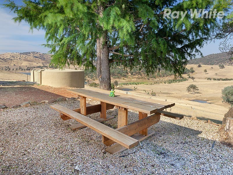 55 Wises Creek Road, Talgarno VIC 3691