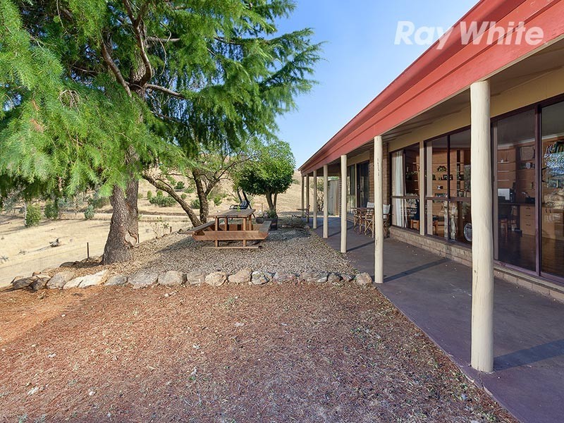 55 Wises Creek Road, Talgarno VIC 3691