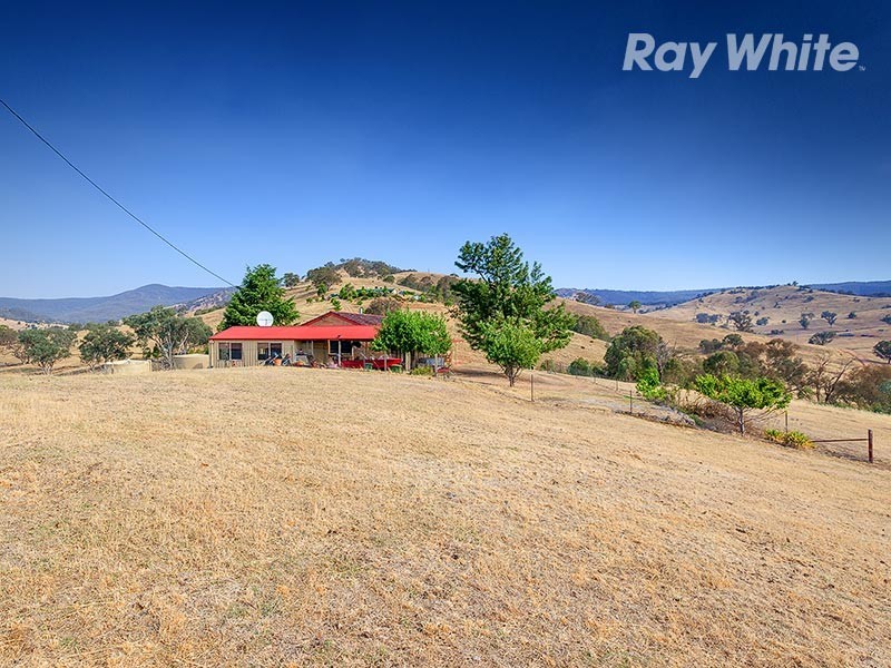 55 Wises Creek Road, Talgarno VIC 3691