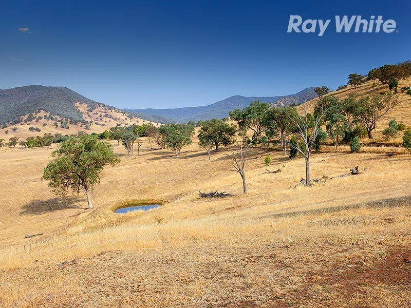 55 Wises Creek Road, Talgarno VIC 3691