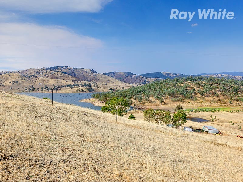 55 Wises Creek Road, Talgarno VIC 3691