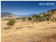 55 Wises Creek Road, Talgarno VIC 3691