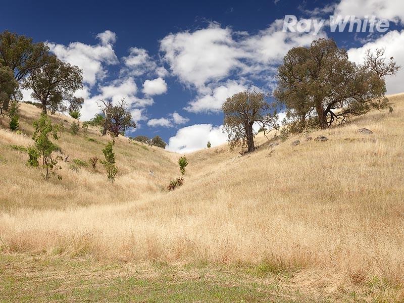 185 Springdale Road, Bethanga VIC 3691