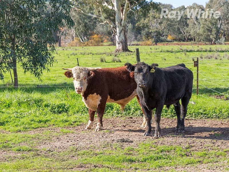 1213 Kiewa Valley Highway, Kiewa VIC 3691