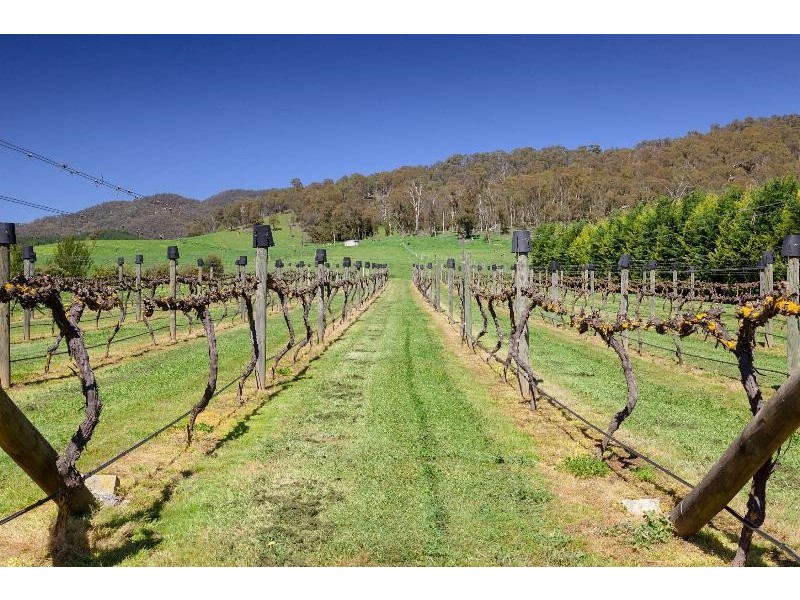 4514 Omeo Highway, Eskdale VIC 3701