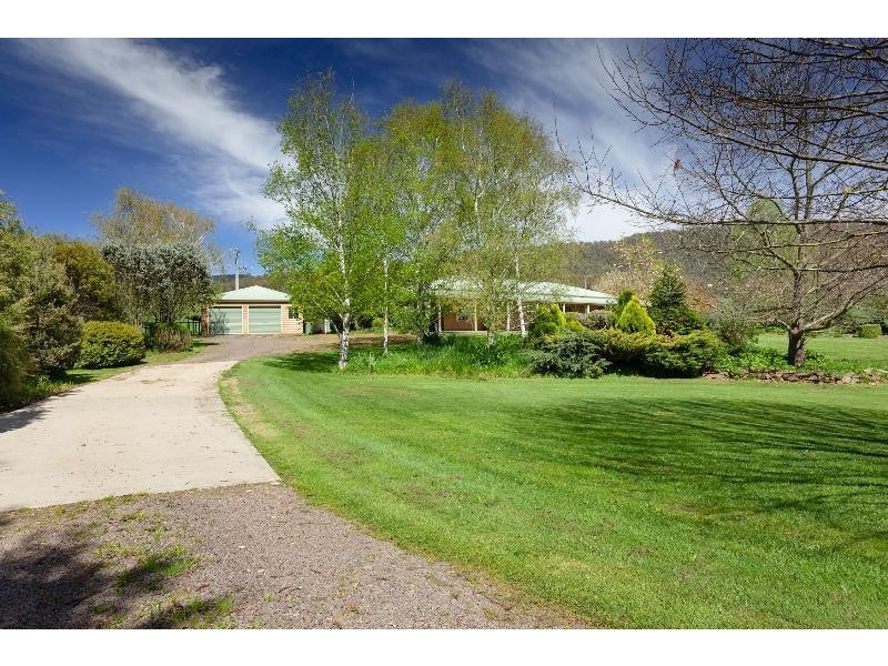 4514 Omeo Highway, Eskdale VIC 3701