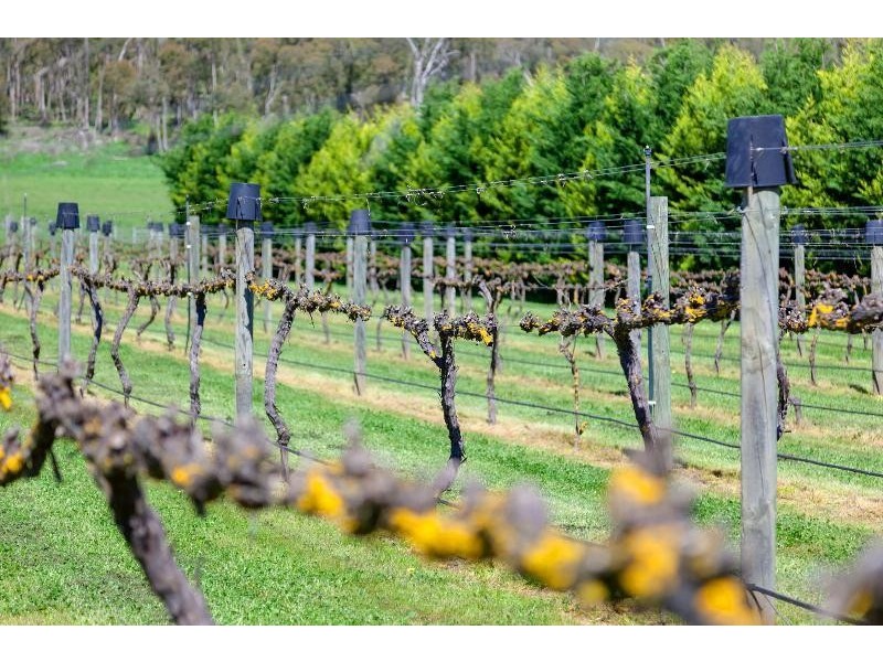 4514 Omeo Highway, Eskdale VIC 3701