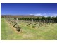 4514 Omeo Highway, Eskdale VIC 3701
