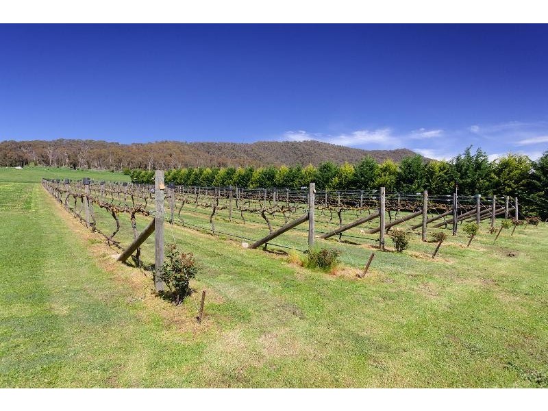 4514 Omeo Highway, Eskdale VIC 3701