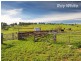196 Phillips Road, Leneva VIC 3691