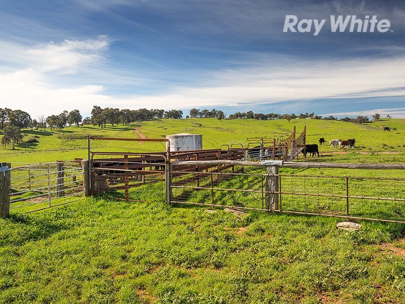 196 Phillips Road, Leneva VIC 3691