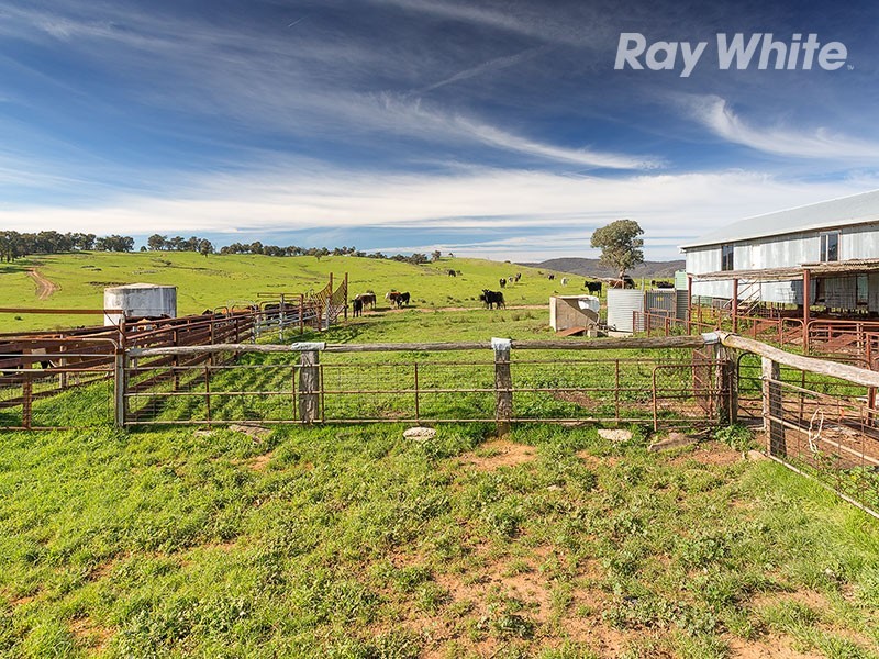 196 Phillips Road, Leneva VIC 3691