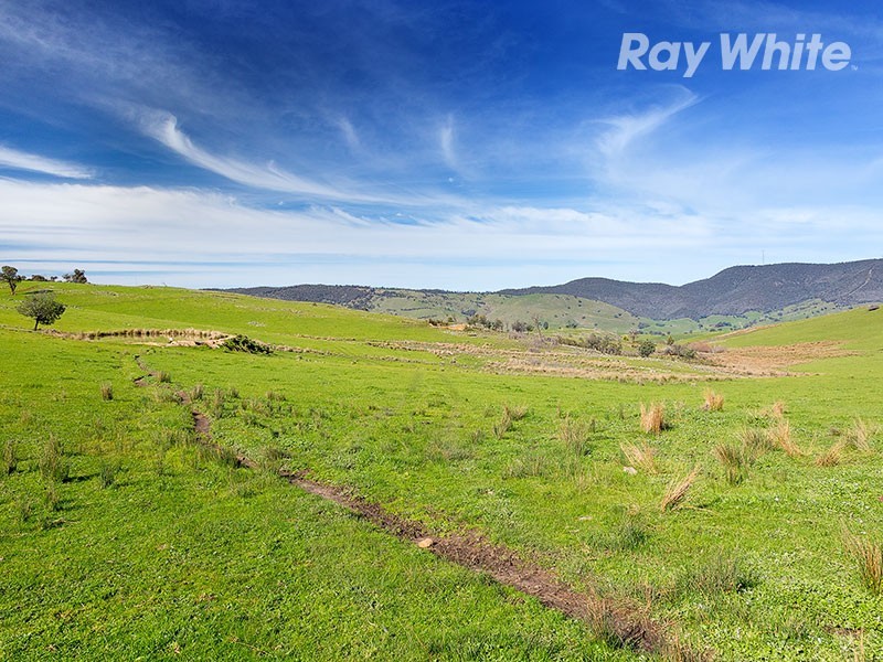 196 Phillips Road, Leneva VIC 3691