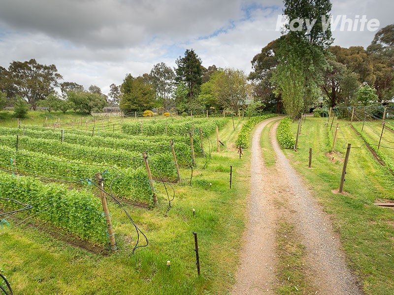 98 Star Lane, Wooragee VIC 3747