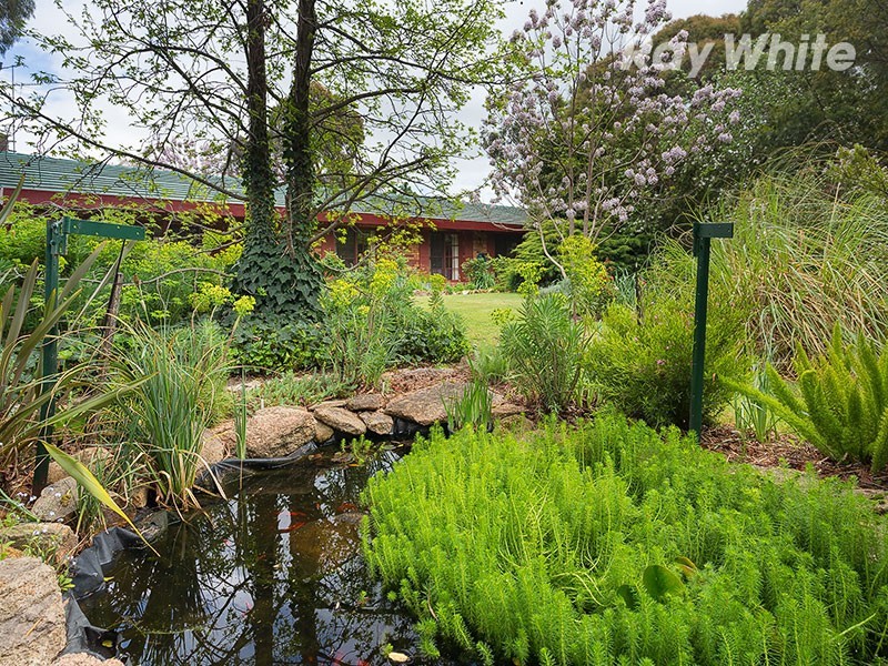 98 Star Lane, Wooragee VIC 3747