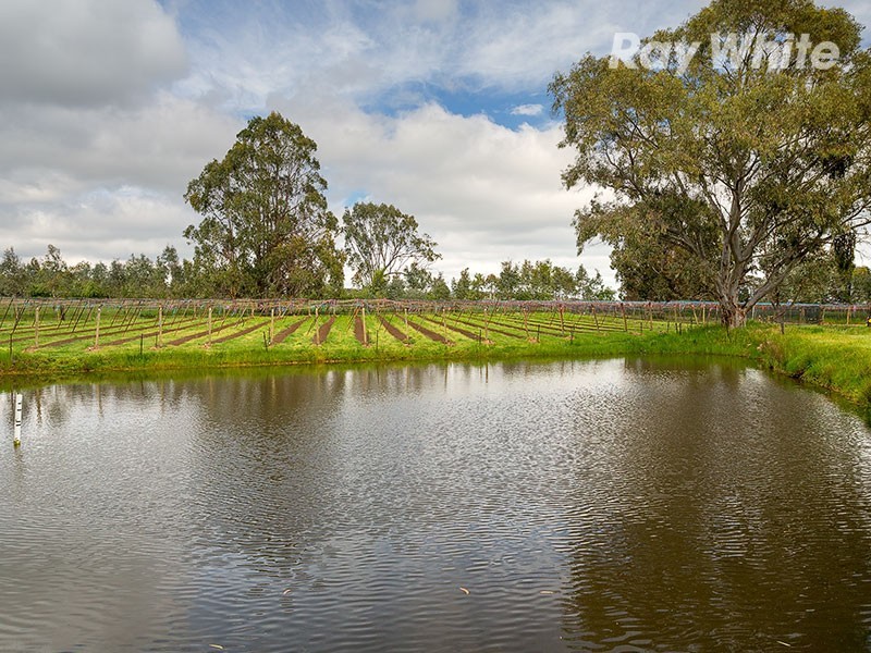 98 Star Lane, Wooragee VIC 3747