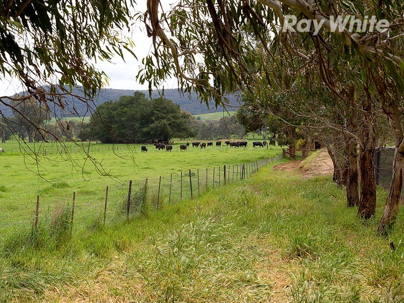 98 Star Lane, Wooragee VIC 3747