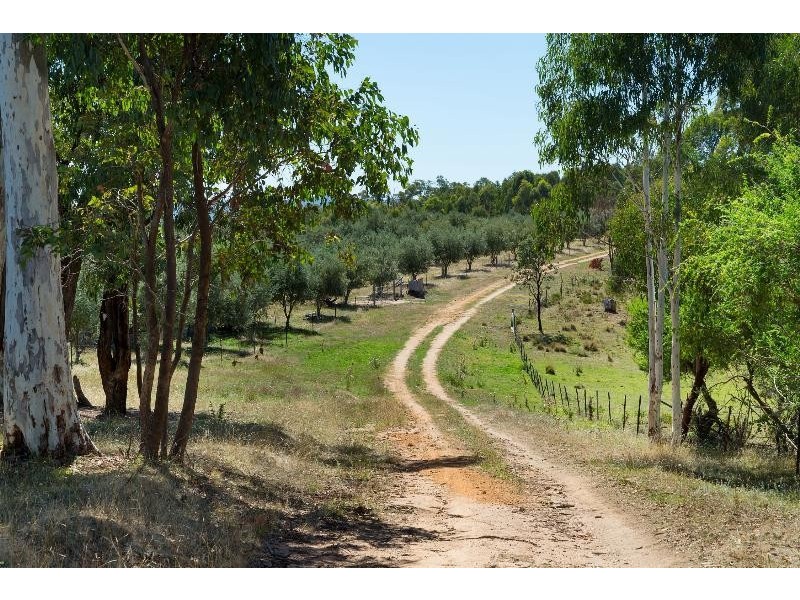 595 Firebrace Track, Granya VIC 3701