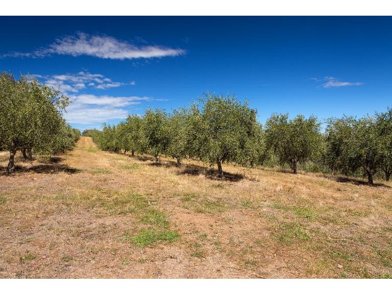 595 Firebrace Track, Granya VIC 3701