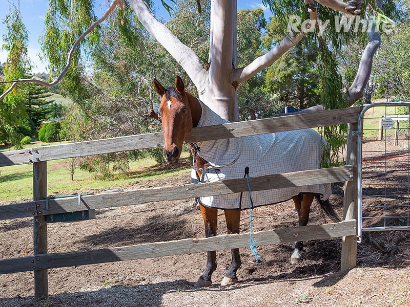 2 Dyring Street, Bethanga VIC 3691