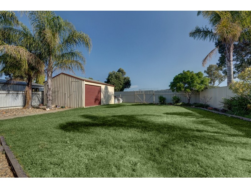 4 Cyrilla Court, Wodonga VIC 3690