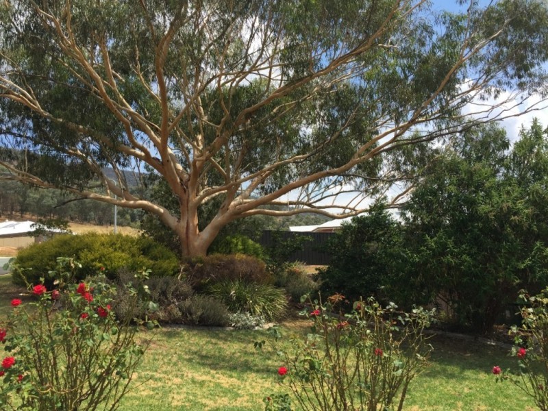 11 Krueger Street, Baranduda VIC 3691