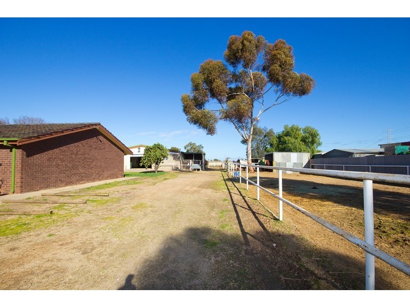 80 Daniel Avenue, Globe Derby Park SA 5110