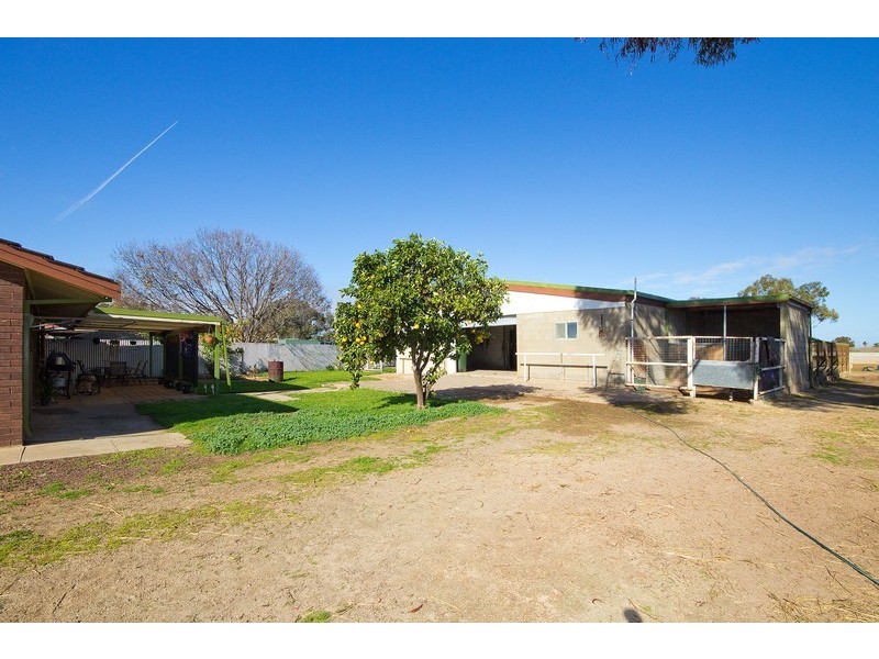 80 Daniel Avenue, Globe Derby Park SA 5110