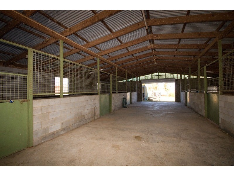 80 Daniel Avenue, Globe Derby Park SA 5110