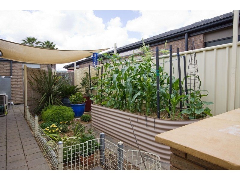 23 Graeber Road, Smithfield SA 5114