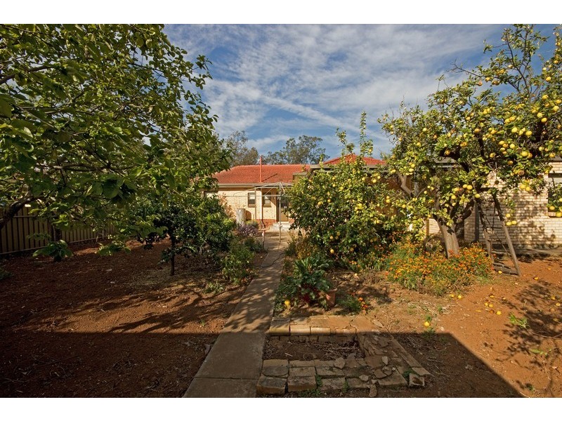 53 Collingbourne Drive, Elizabeth Vale SA 5112