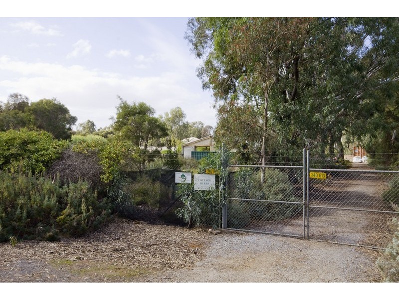 Lot 156 Lyndon Road, Macdonald Park SA 5121