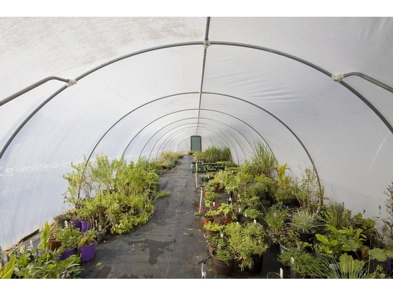 Lot 156 Lyndon Road, Macdonald Park SA 5121