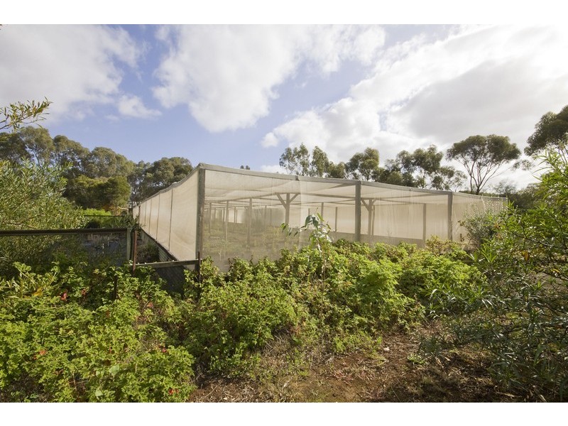 Lot 156 Lyndon Road, Macdonald Park SA 5121