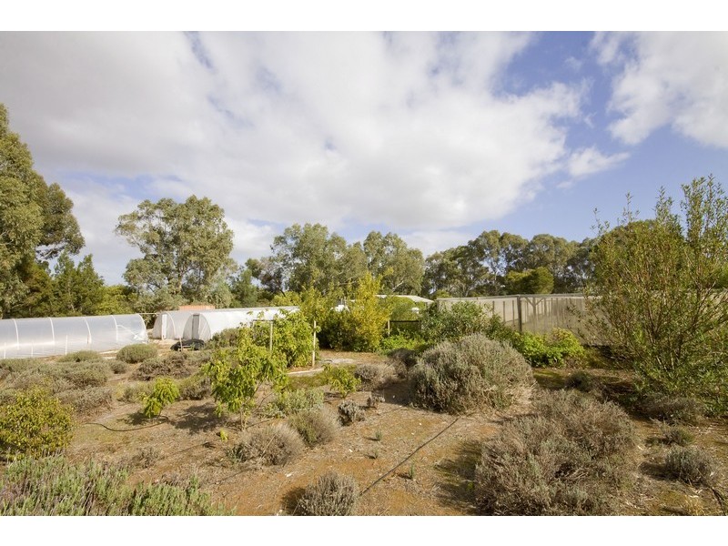Lot 156 Lyndon Road, Macdonald Park SA 5121