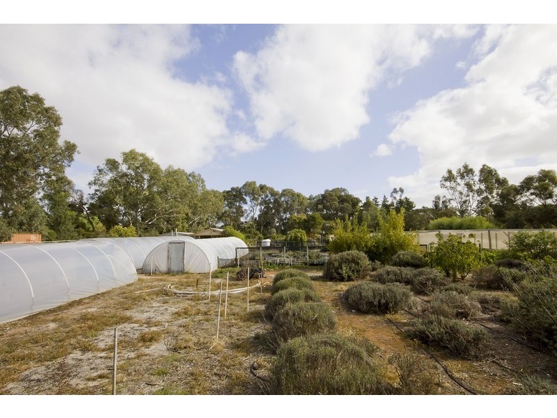 Lot 156 Lyndon Road, Macdonald Park SA 5121