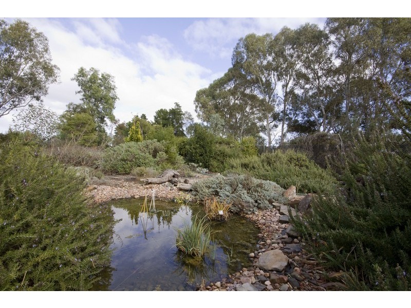 Lot 156 Lyndon Road, Macdonald Park SA 5121