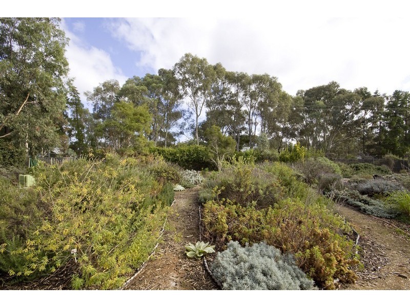 Lot 156 Lyndon Road, Macdonald Park SA 5121