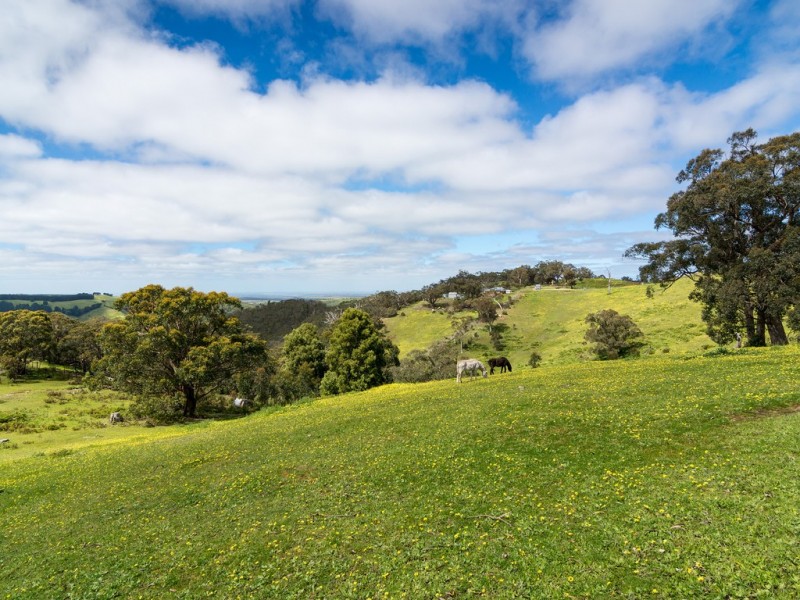 43 Valley Road, Prospect Hill SA 5201