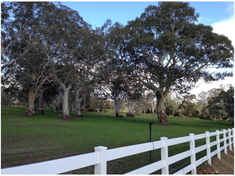 1305 Bull Creek Road, Ashbourne SA 5157