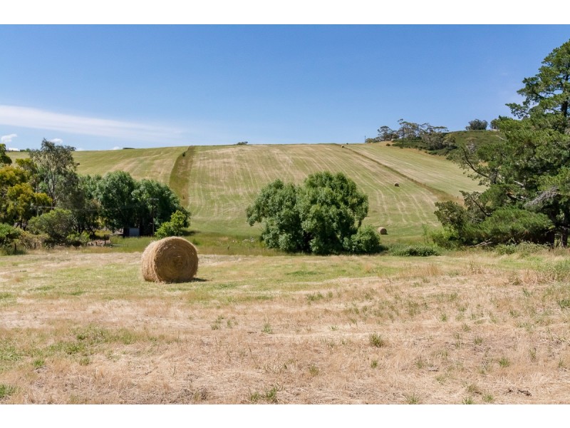 105 Mawson Road, Meadows SA 5201