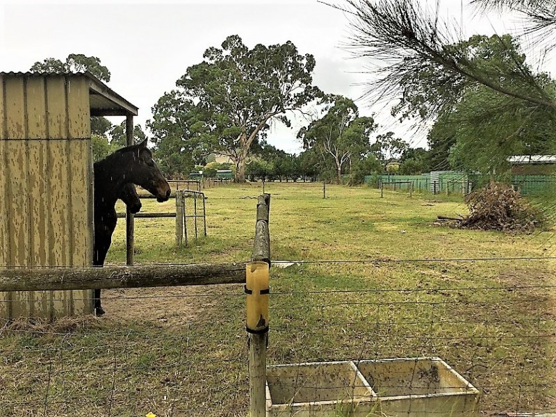 44 Battunga Road, Meadows SA 5201