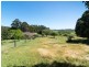 155 Macclesfield Road, Meadows SA 5201