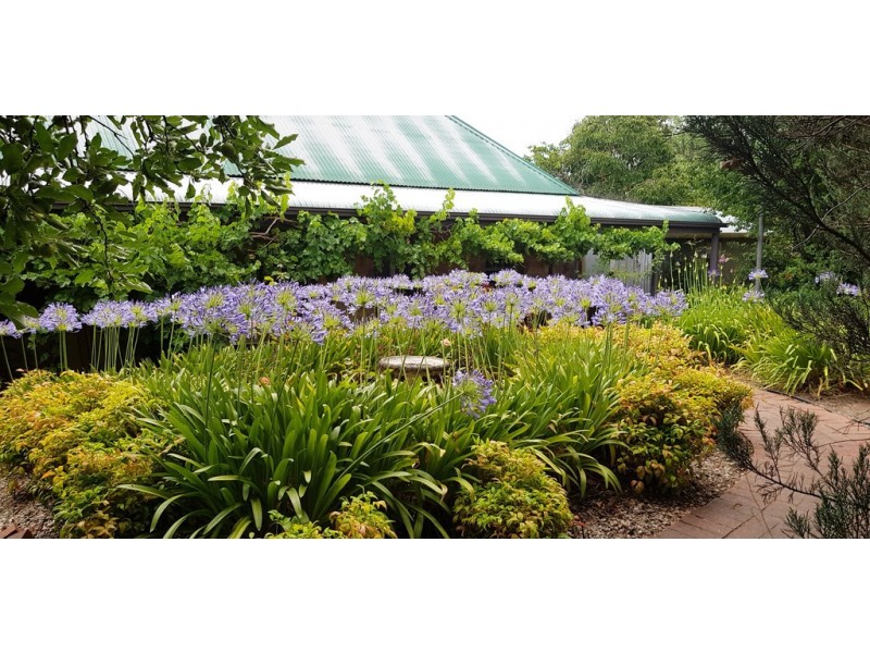 78 Mawson Road, Meadows SA 5201