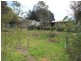13 Marriott Street, Macclesfield SA 5153