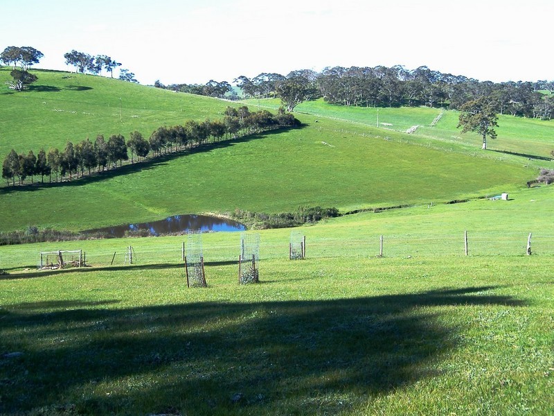 Lt 11 Gemmell Road, Macclesfield SA 5153