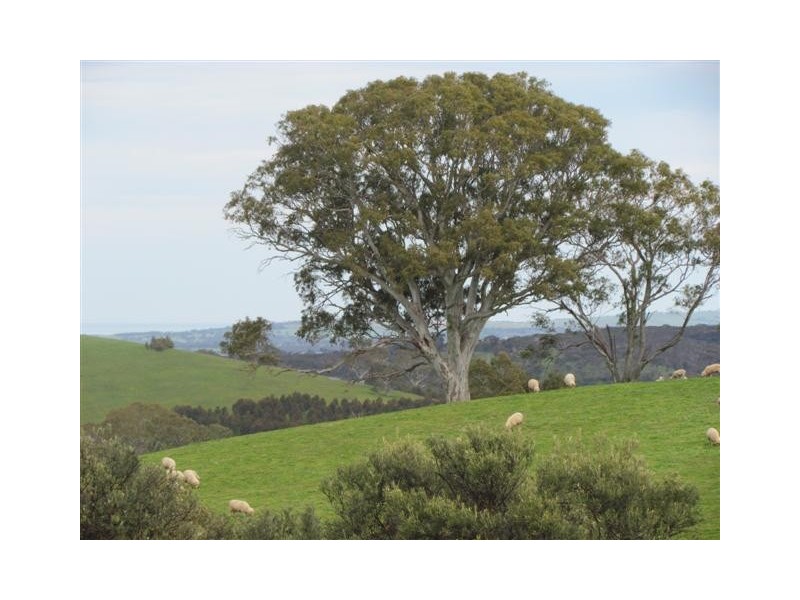 49 Sunnydale Road, Strathalbyn SA 5255