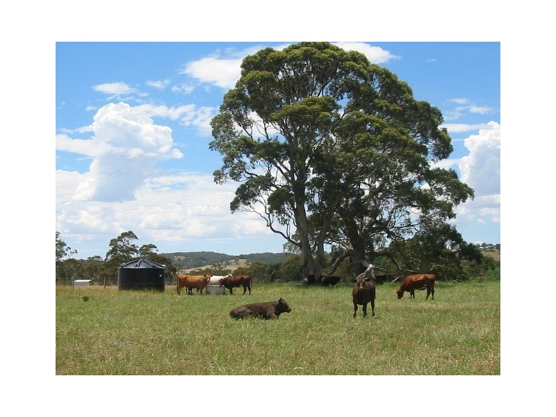 Lot 2 Battunga Road, Meadows SA 5201