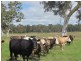 Lot 201 Wickham Hill Road, Kuitpo SA 5172