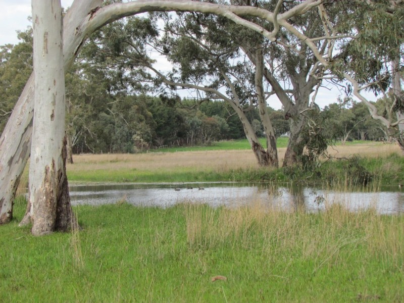 Lot 201 Wickham Hill Road, Kuitpo SA 5172